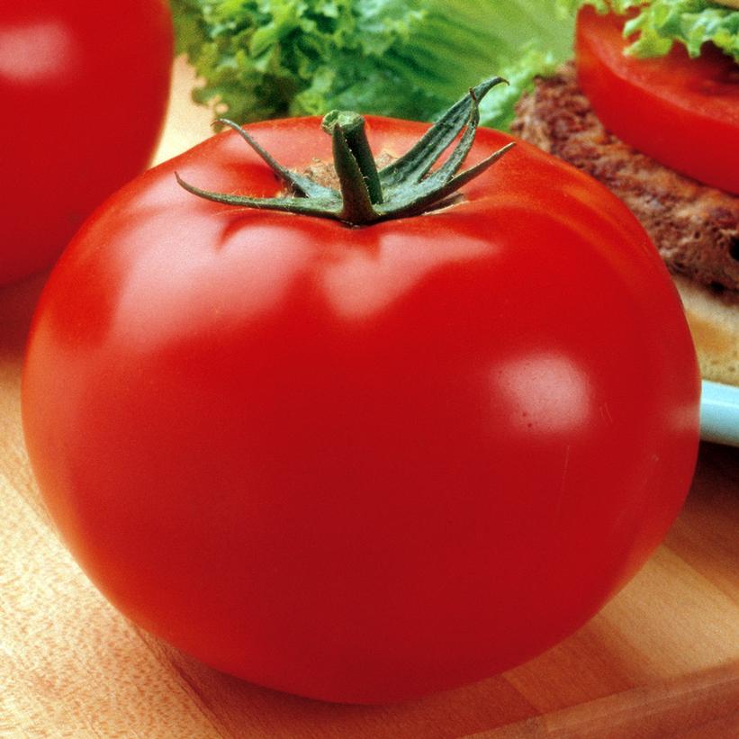 Big Beef Beefsteak Tomato