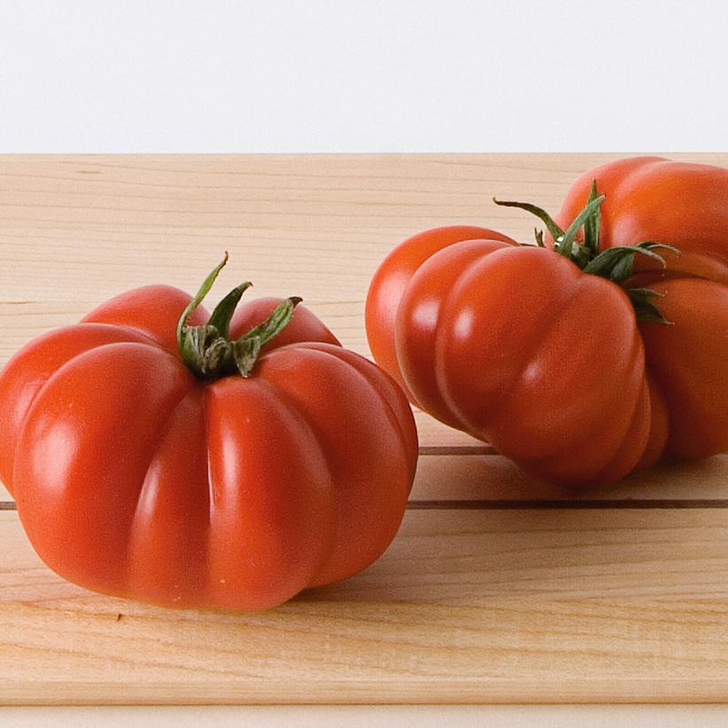 Costoluto Genovese Tomato