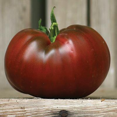 Pierces Pride Tomato