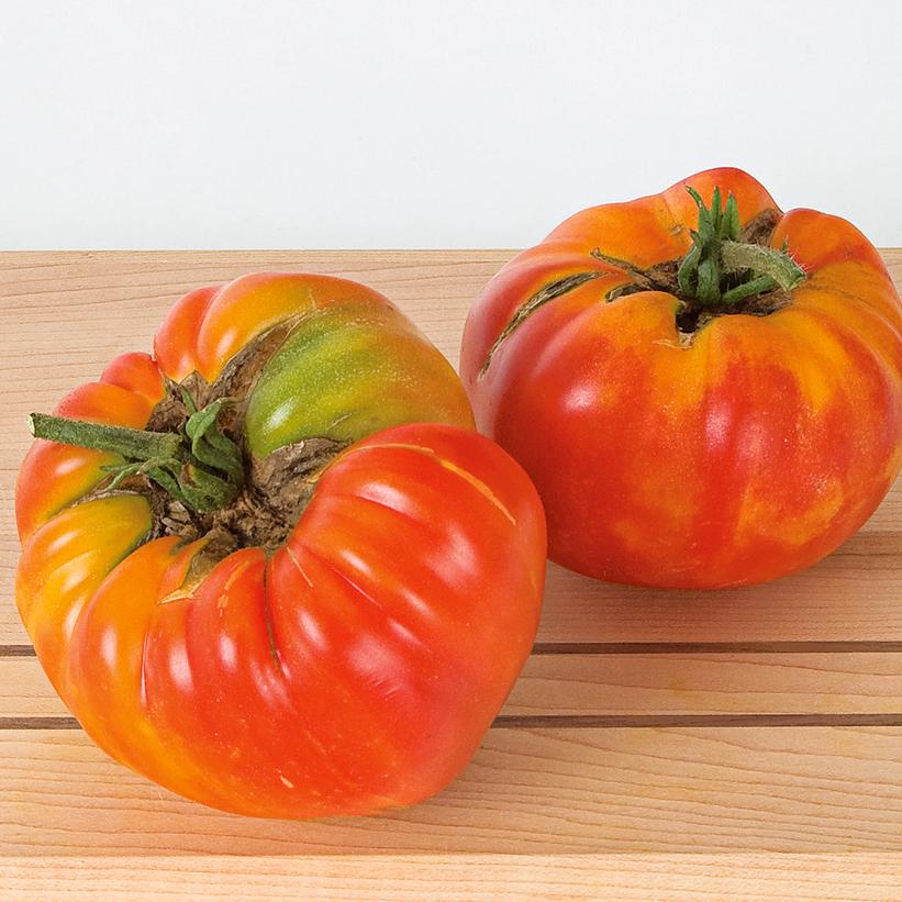 Striped German Tomato