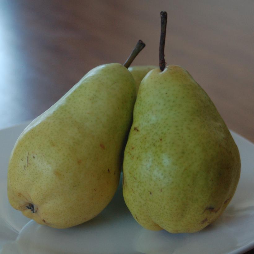 Bartlett Pear