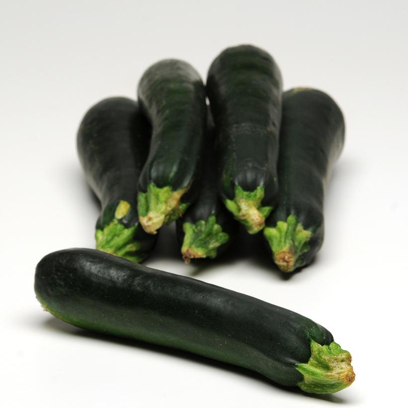 Easy Pick Green Zucchini