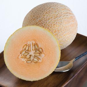 Tasty Bites Melon
