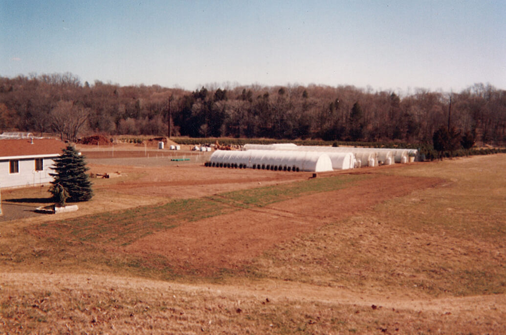 Vintage photo of greenhouses.