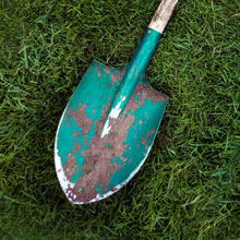 Rusty shovel laying on grass.