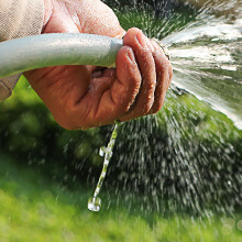 Person pinching the end of a gardening hose, spraying water.