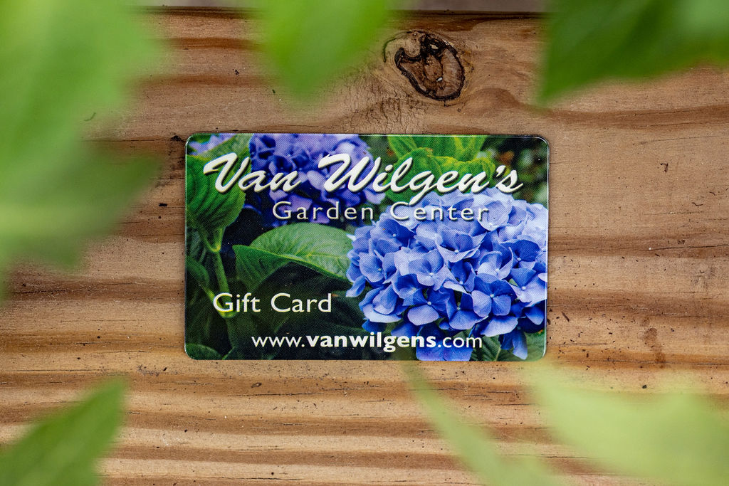 van wilgen's gift card