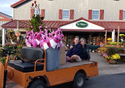 cart with workers outside store